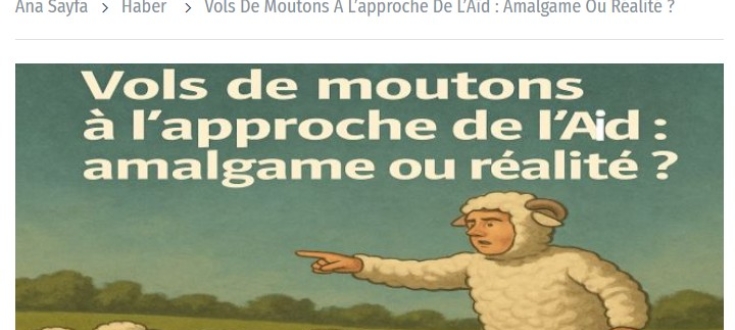 Vols de moutons à l’approche de l’Aïd : amalgame ou réalité ? 